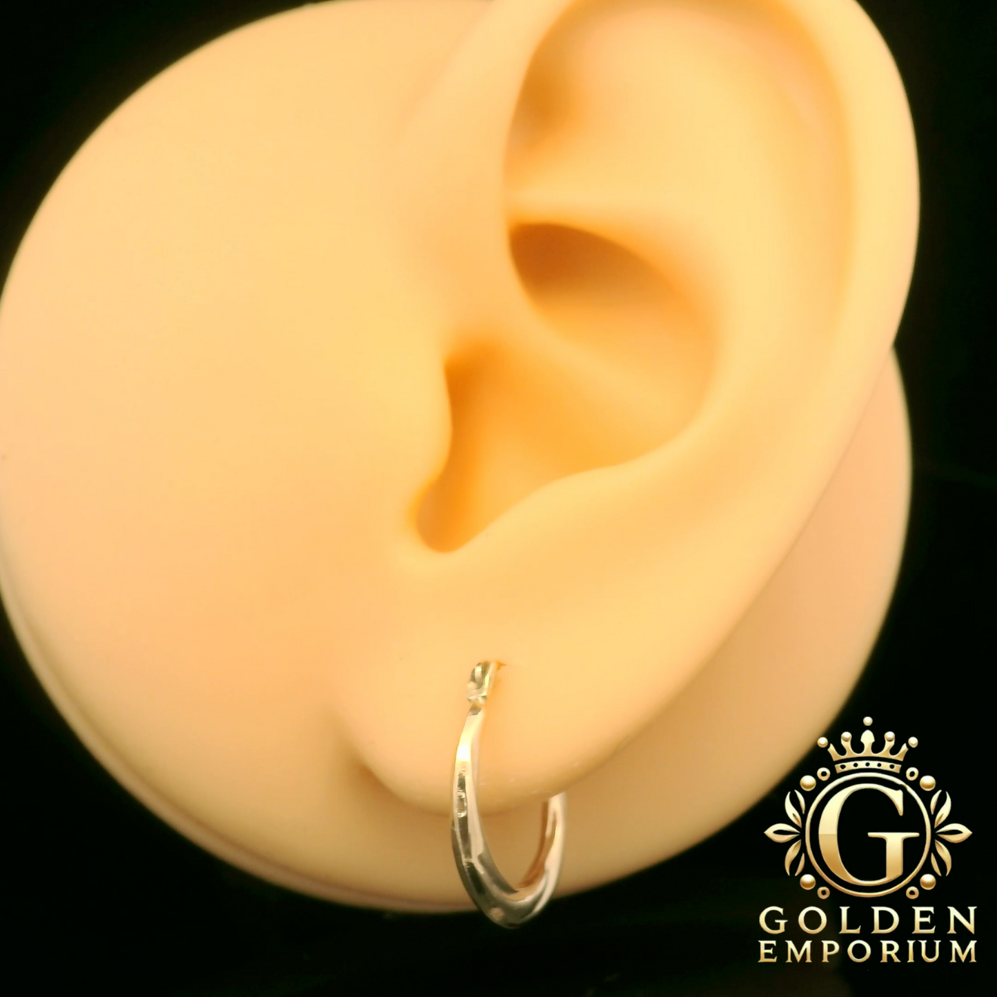 Polished Gold Hoop Earrings